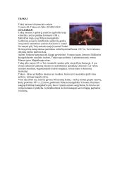 Pažintinė kelionė po Vilnių 11 puslapis