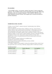 Pažintinė kelionė po Vilnių 12 puslapis