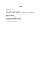 Pažintinė kelionė po Vilnių 3 puslapis