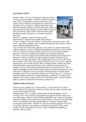 Pažintinė kelionė po Vilnių 4 puslapis