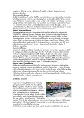 Pažintinė kelionė po Vilnių 8 puslapis