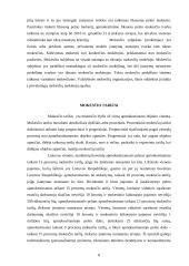 Pelno mokestis 8 puslapis
