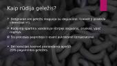 Metalų korozija ir apsauga nuo jos (skaidrės) 4 puslapis