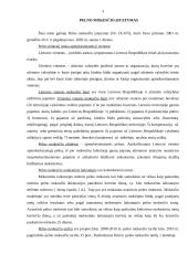 Pelno mokestis valstybės biudžeto pajamose 3 puslapis