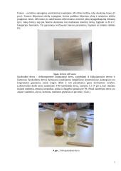 Medinės nerviūros gamyba 6 puslapis