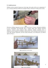 Medinės nerviūros gamyba 8 puslapis