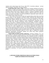 Pensijų fondų investicinio portfelio formavimas investuojant tarptautinėse rinkose 13 puslapis