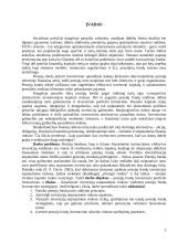 Pensijų fondų investicinio portfelio formavimas investuojant tarptautinėse rinkose 4 puslapis