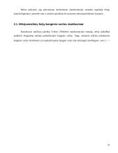 Perdavimo linijos 19 puslapis