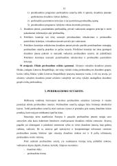 Perdraudimas 13 puslapis