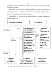 Perdraudimas 6 puslapis