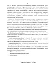 Perdraudimas 9 puslapis
