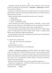 Perdraudimas 10 puslapis