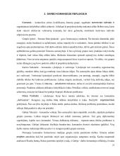 AB „Šiaulių bankas” dalykinio bendravimo analizė 20 puslapis