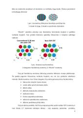 Personalinių kompiuterių displėjų tobulinimo tendencijos 4 puslapis