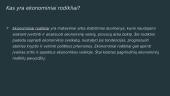 Ekonominiai rodikliai 2 puslapis