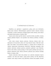 Personalo karjeros planavimas 10 puslapis