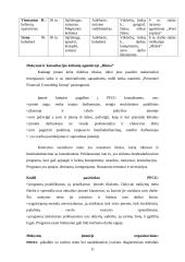 Personalo mokymo sistema kelionių agentūroje "Ditma" 11 puslapis