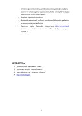 Personalo mokymo sistema kelionių agentūroje "Ditma" 15 puslapis