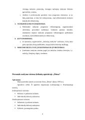 Personalo mokymo sistema kelionių agentūroje "Ditma" 9 puslapis