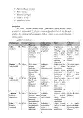 Personalo mokymo sistema kelionių agentūroje "Ditma" 10 puslapis