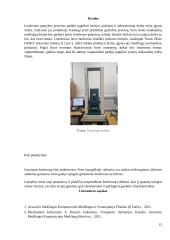 Lonžerono gamyba 11 puslapis