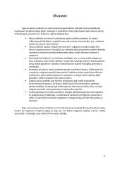 Akcizų mokestis. Įmonės finansų rašto darbas 10 puslapis