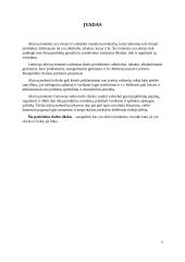 Akcizų mokestis. Įmonės finansų rašto darbas 2 puslapis