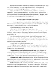 Personalo paieška ir atranka: UAB "Ekspresas" 2 puslapis