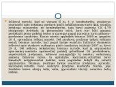 Mainų sutartis (skaidrės) 13 puslapis