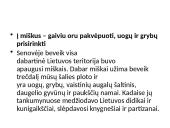 Kuo ypatinga Lietuvos gamta? 15 puslapis