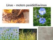 Kuo ypatinga Lietuvos gamta? 16 puslapis