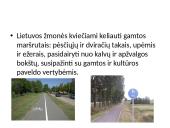 Kuo ypatinga Lietuvos gamta? 3 puslapis