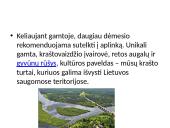 Kuo ypatinga Lietuvos gamta? 4 puslapis