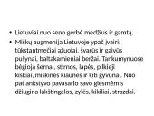 Kuo ypatinga Lietuvos gamta? 6 puslapis