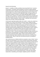 Bausmės tema literatūroje