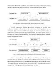 Personalo tarnybos (darbuotojai), jų darbo turinys ir atsakomybė 7 puslapis