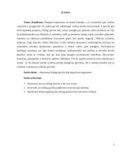 Žalingi įpročiai ir jų žala augančiam organizmui 2 puslapis