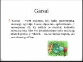 Triukšmas ir jo poveikis 2 puslapis