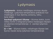 Vidinė kūnų energija. Šilumos kiekis. Faziniai virsmai 12 puslapis