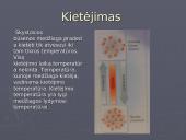 Vidinė kūnų energija. Šilumos kiekis. Faziniai virsmai 13 puslapis