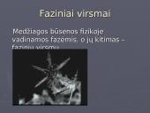 Vidinė kūnų energija. Šilumos kiekis. Faziniai virsmai 9 puslapis
