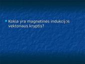 Ampero jėga 16 puslapis