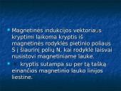 Ampero jėga 17 puslapis