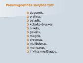 Medžiagos magnetinės savyvės 12 puslapis