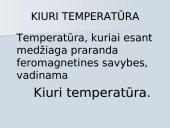 Medžiagos magnetinės savyvės 19 puslapis