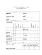 Personalo vadyba mokykloje 17 puslapis
