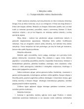 Personalo vadyba mokykloje 4 puslapis