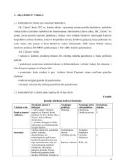 Personalo vadyba: AB "Cukrus" 2 puslapis