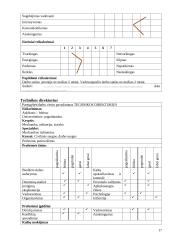 Personalo vadyba: AB "Cukrus" 15 puslapis